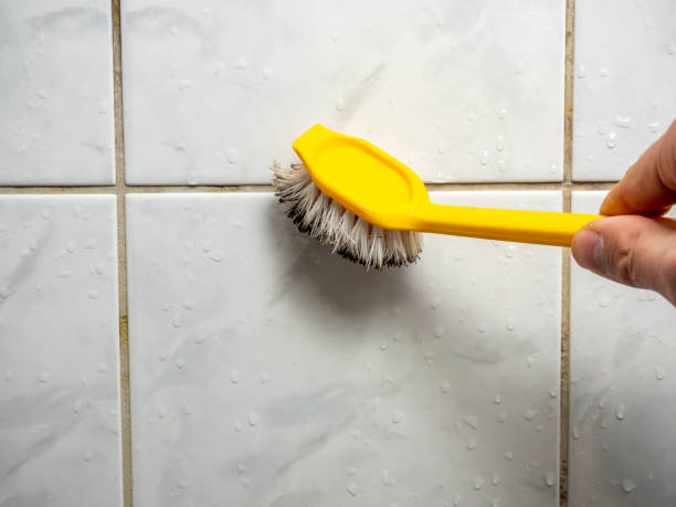 Best Best Mold Removal Companies  in Madras, OR