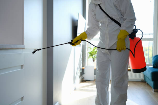 Best Crawl Space Mold Removal  in Madras, OR