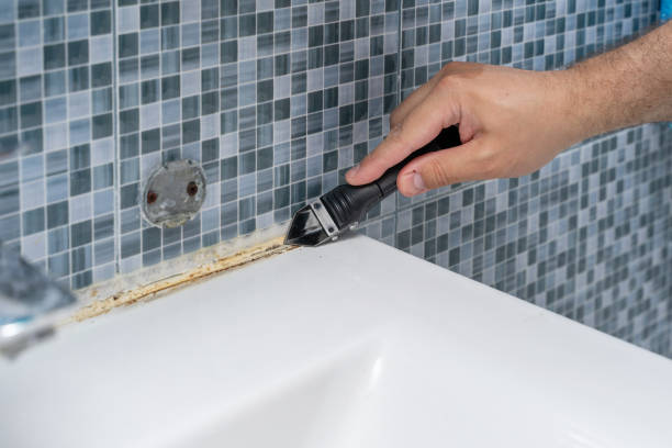 Office Mold Removal Services in Madras, OR