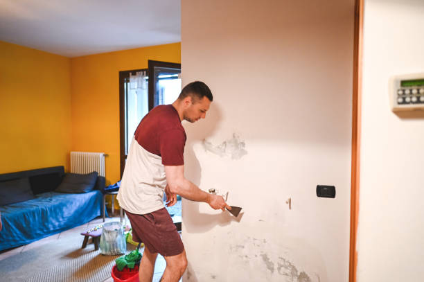 Best Toxic Mold Removal  in Madras, OR
